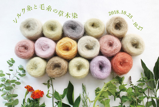 YARN_DM18_SEIJO_表2
