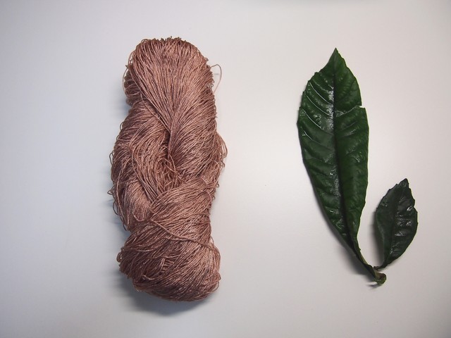 P8243835