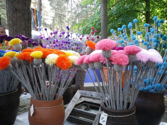IMGP0430
