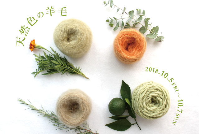 YARN_DM18_GINZA_表