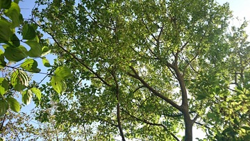 [画像:774f63a1-s.jpg]