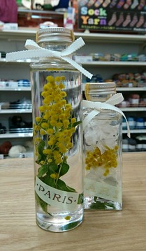 [画像:c942b751-s.jpg]