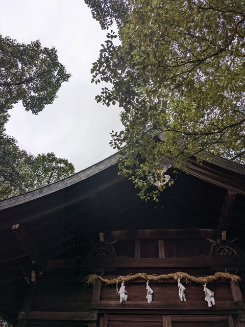 PXL_20221031_234238052