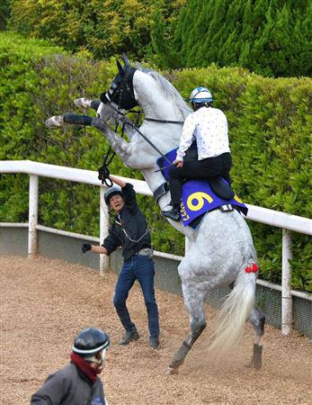 名馬で迷馬 ゴールドシップというよく分からない馬 競馬 えあ速