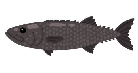 fish_baramutsu