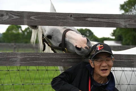 悲報 今浪さん ソダシはアイツ ゴールドシップ に似てきて大変やねん えあ速 悲報 今浪さん ソダシはアイツ ゴールドシップ に似てきて大変やねん えあ速
