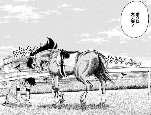 競馬 サイレンスズカが骨折しただけで殺されたのってマジ ウマ娘 えあ速 競馬 サイレンスズカが骨折しただけで殺されたのってマジ ウマ娘 えあ速