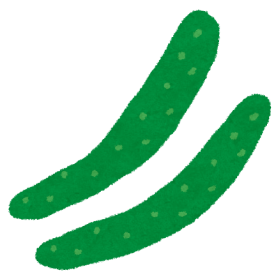 kyuuri_cucumber