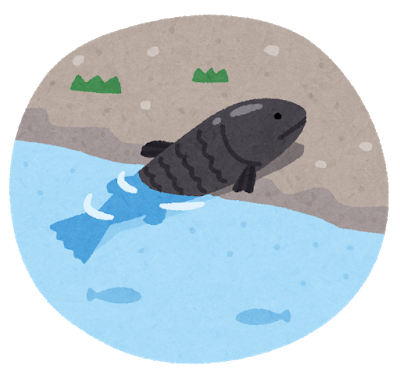 shinka_riku_agaru_fish