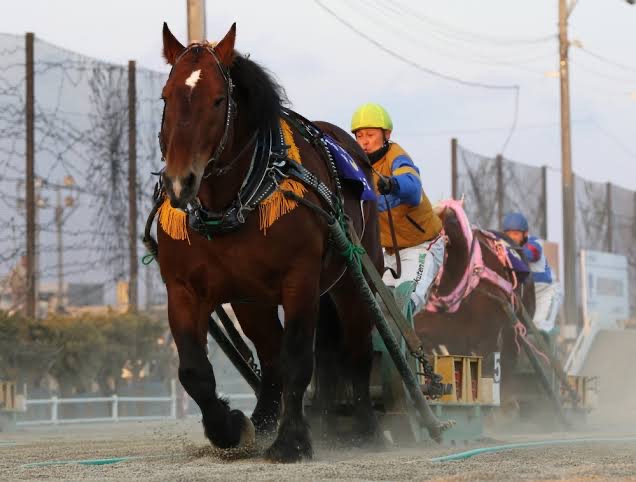 競馬 サイレンスズカが骨折しただけで殺されたのってマジ ウマ娘 えあ速 競馬 サイレンスズカが骨折しただけで殺されたのってマジ ウマ娘 えあ速