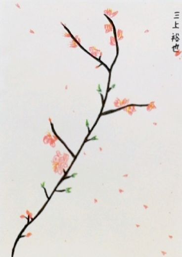 花 桜 デッサン