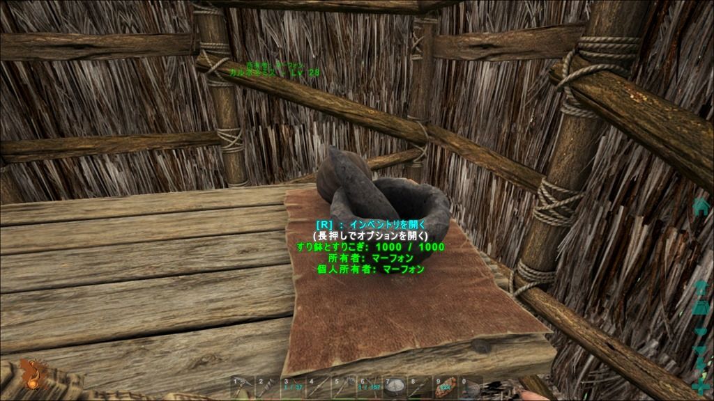 Lex奮闘記 Ark Survival Evolved Lex奮闘記 Ark Survival Evolved