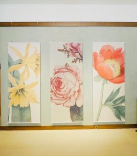 image2 (1)
