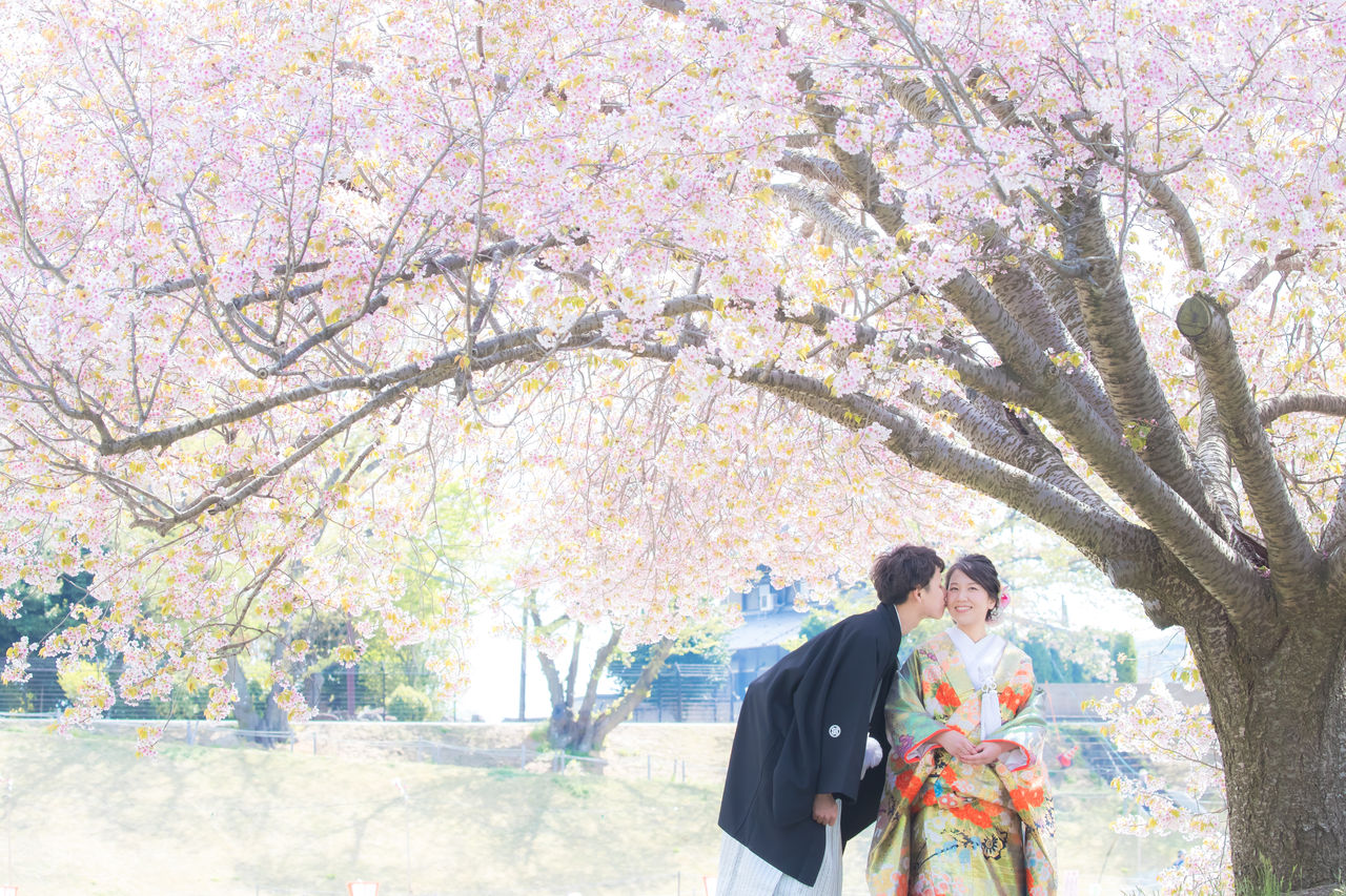 岡山後楽園 和装前撮り 桜 岡山ロケ写真ブログ 岡山後楽園 和装前撮り 桜 岡山ロケ写真ブログ
