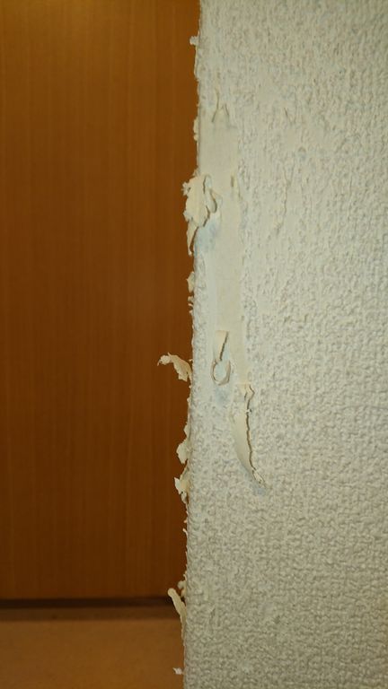ネコのひっかき傷とガイドライン ぺんたの地方不動産投資日記
