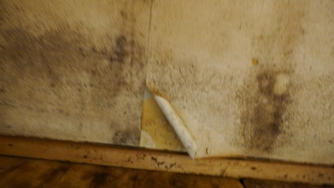 P1110905