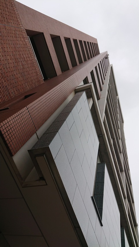 DSC_0498