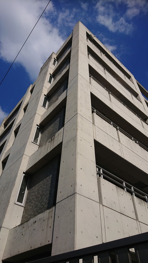 DSC_3851