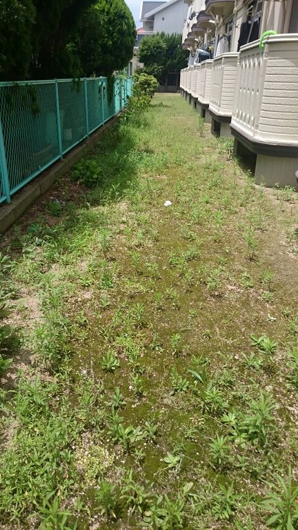 雑草に負けたグランドカバー 涙 ぺんたの地方不動産投資日記 雑草に負けたグランドカバー 涙 ぺんたの地方不動産投資日記
