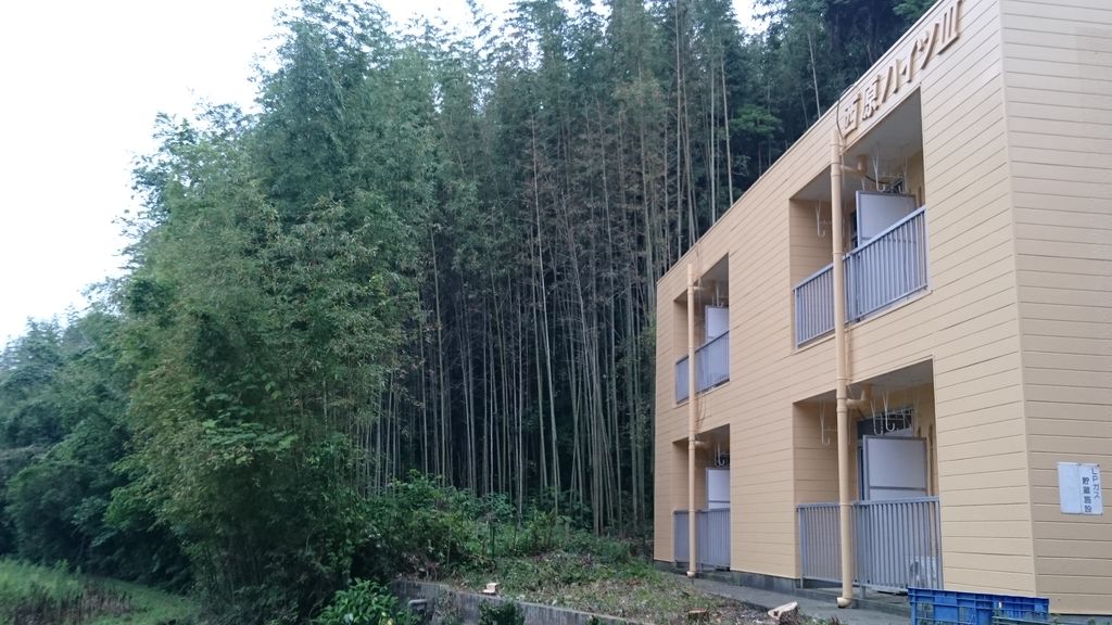 国が竹林を伐採してくれるそうです ぺんたの地方不動産投資日記 国が竹林を伐採してくれるそうです ぺんたの地方不動産投資日記
