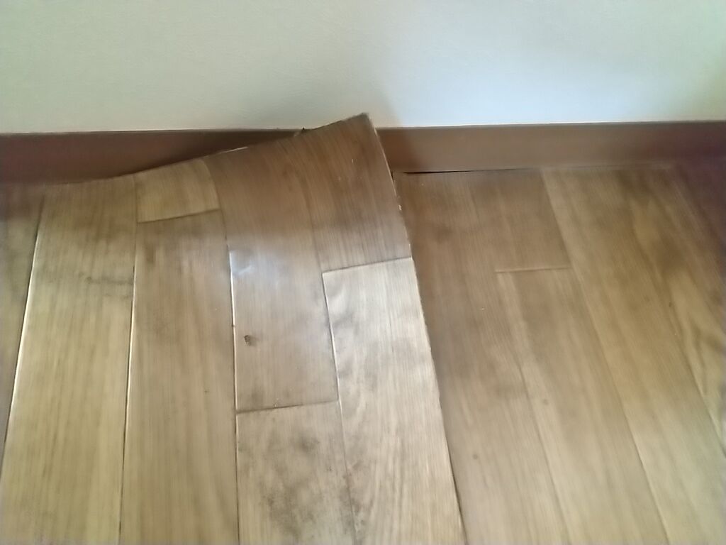冷蔵庫置き場の床が腐ってた ぺんたの地方不動産投資日記
