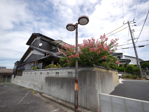 P1110659