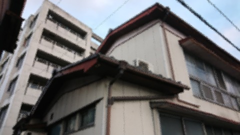 DSC_2111