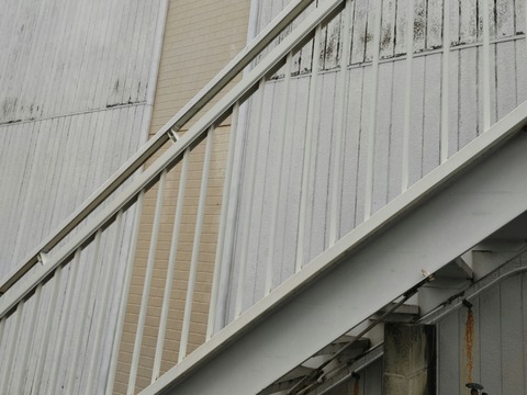 DIAGONAL_0002_BURST20211216145646983