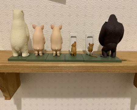今日の園児さん紹介 犬の幼稚園 アットホームblog 今日の園児さん紹介 犬の幼稚園 アットホームblog