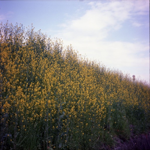 img046