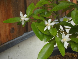 CIMG0901