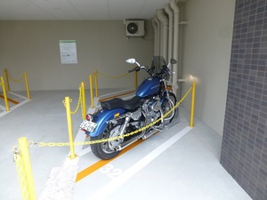 P1150109