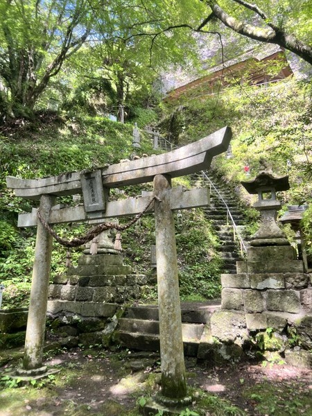 2025-09-15_12-36-26_663