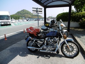 P1000960