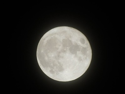 qm016