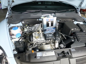 P1150157