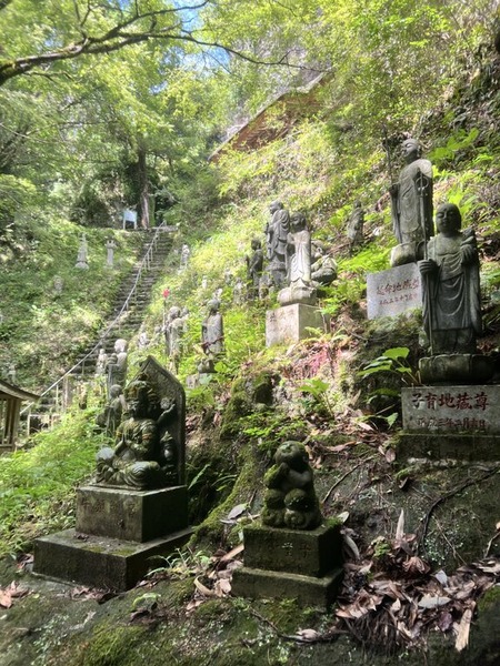 2025-09-15_12-35-43_320