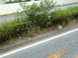 P1000791