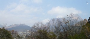 futhi004