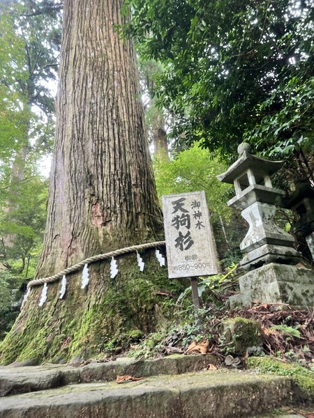 2025-09-15_14-12-54_036