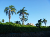 P1020766