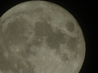 qm009