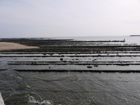 P1090482