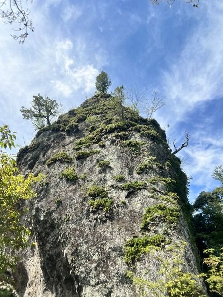 2025-09-15_12-43-11_358