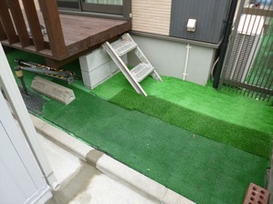 ao019