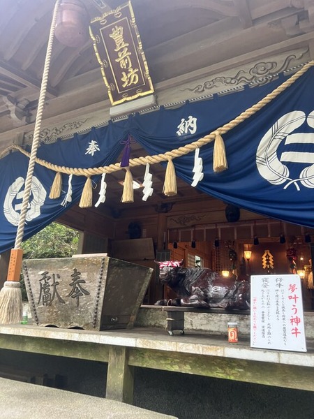 2025-09-15_14-17-27_212