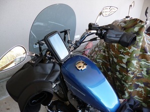 bg007