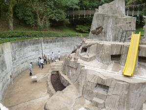 P1020598ccc