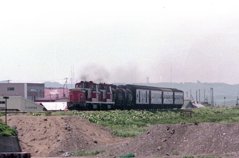 P364 1980.06.26 2_010 DE10+DE10+ﾀｷ2B+ｽﾕﾆ+旧客3B 北浜^原生花園