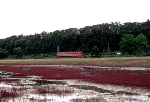 P192 1980.09.13 025 ｷﾊ22 卯原内^北見平和